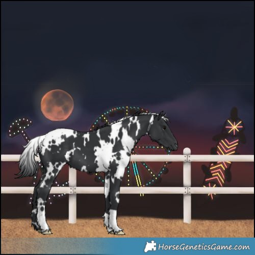 Horse Color:White Spotted Black
