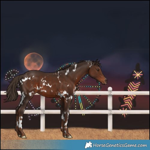 Horse Color:White Spotted Liver Chestnut 