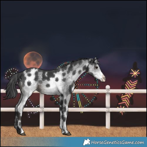 Horse Color:White Spotted Black Sabino 