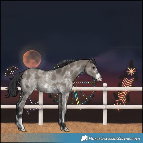 Horse Color:Grullo Sabino