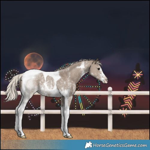 Horse Color:Silver Grullo Sabino Tobiano 
