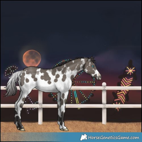 Horse Color:Smoky Grullo Sabino Splash Frame 