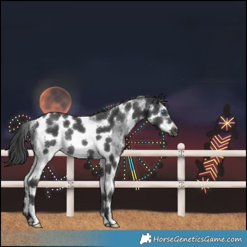 Horse Color:Black Sabino Splash Tobiano Frame Rabicano 