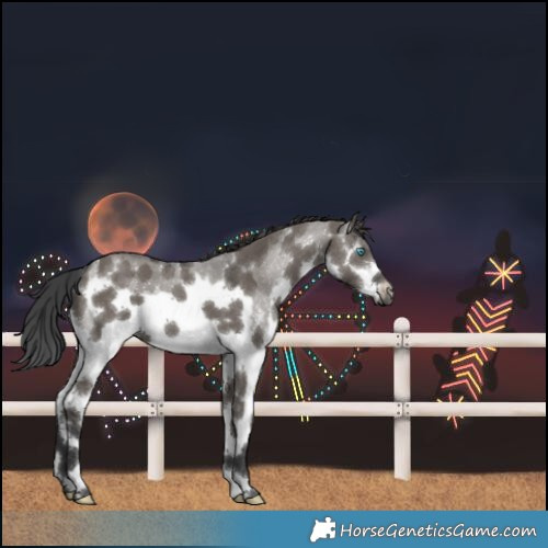 Horse Color:Grullo Sabino Splash Frame 