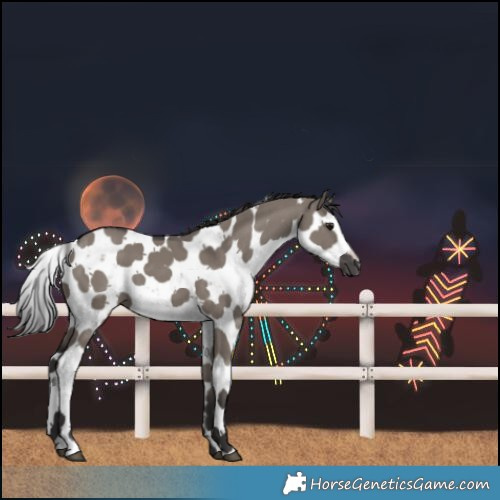 Horse Color:Smoky Grullo Sabino 