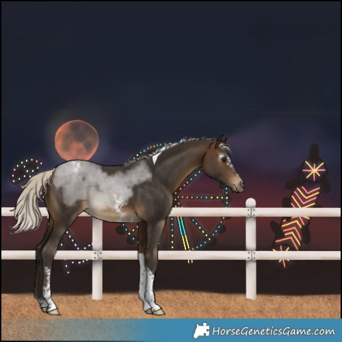 Horse Color:Gray Silver Buckskin Sabino Tobiano Varnish 
