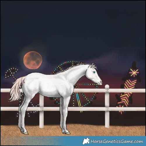 Horse Color:Perlino Roan 