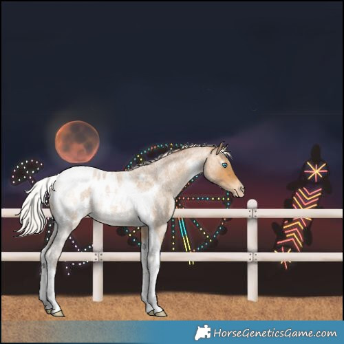 Horse Color:Gray Silver Buckskin Roan Pearl Tobiano Blanket 