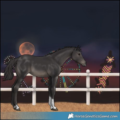 Horse Color:Smoky Black Tobiano 