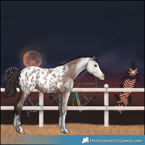Horse Color:Brown Roan Blanket 