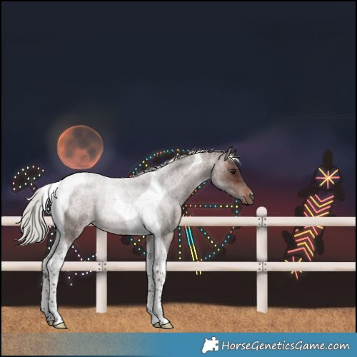 Horse Color:Silver Brown Roan Tobiano
