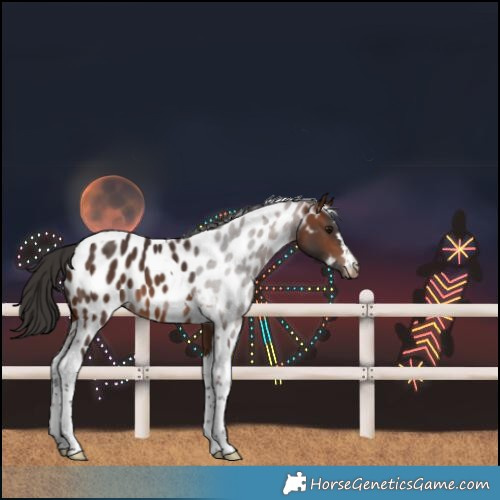 Horse Color:Brown Tobiano Near Leopard