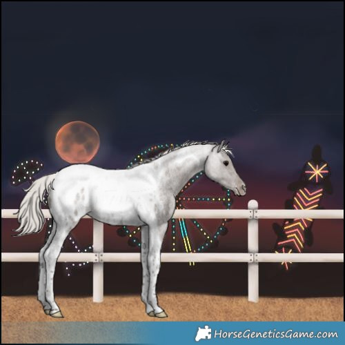 Horse Color:Silver Blue Roan Tobiano Blanket 