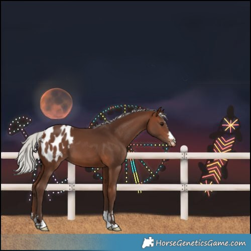Horse Color:Silver Brown Blanket