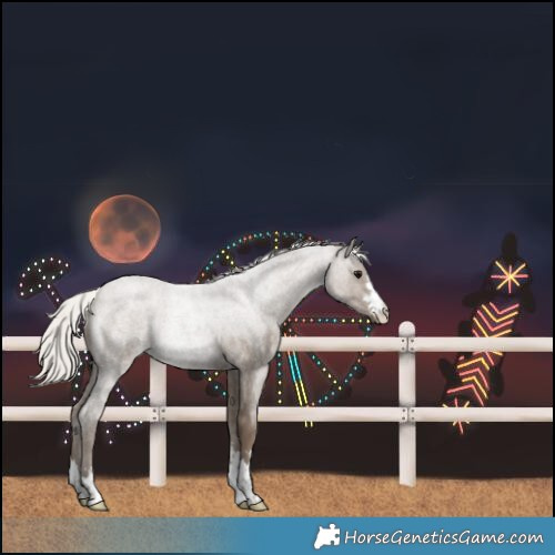 Horse Color:Silver Smoky Blue Roan