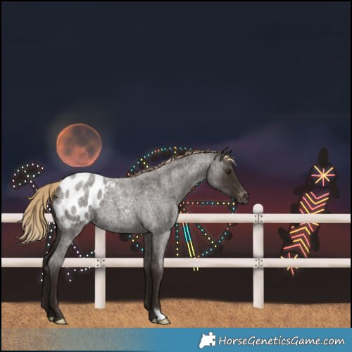 Horse Color:Liver Red Roan Blanket 