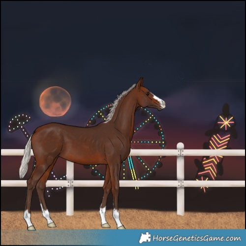 Horse Color:Silver Brown