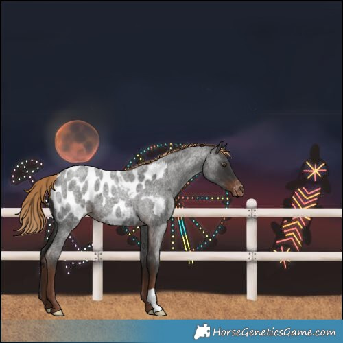 Horse Color:Liver Red Roan Blanket 