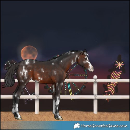 Horse Color:White Spotted Brown Splash Varnish