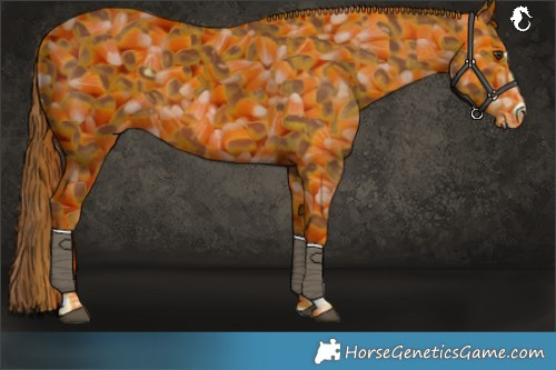 Horse Color:Chestnut Varnish 