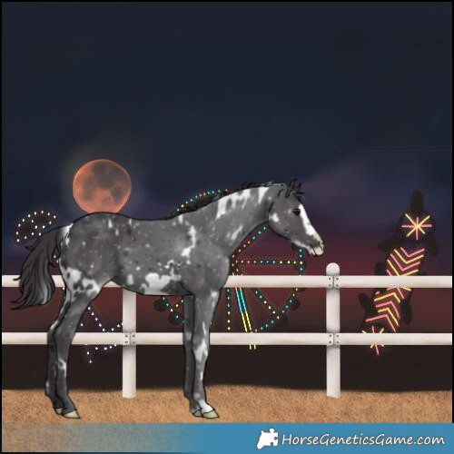 Horse Color:White Spotted Smoky Black Frame 