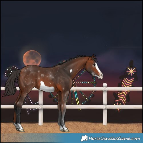 Horse Color:Bay Frame