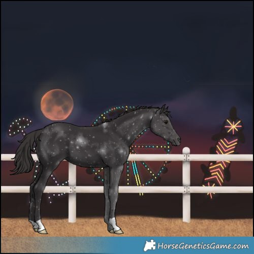 Horse Color:Smoky Black 