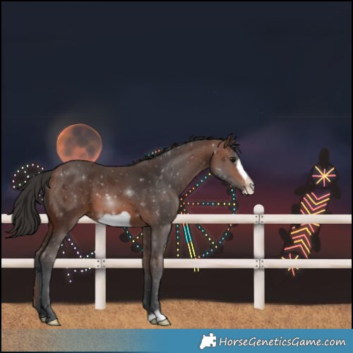 Horse Color:Brown Frame 