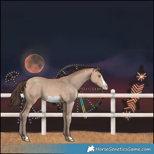 Horse Color:Amber Champagne Frame 
