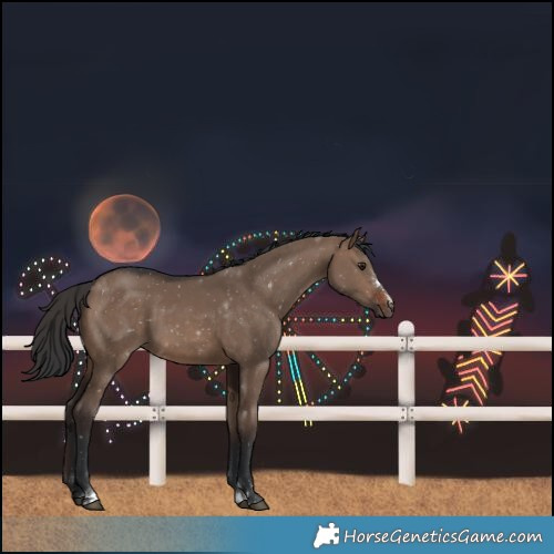 Horse Color:Brown Dun 