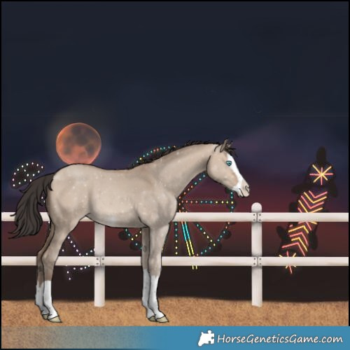 Horse Color:Sable Champagne Dun Splash