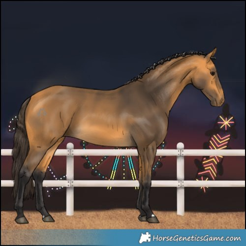 Horse Color:Buckskin 