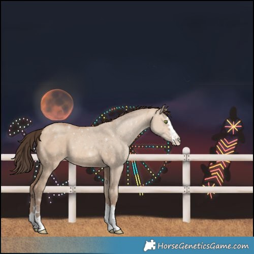 Horse Color:Amber Champagne Dun
