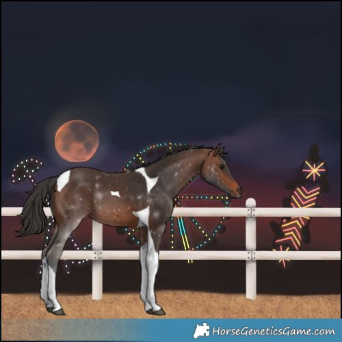 Horse Color:Brown Tobiano 