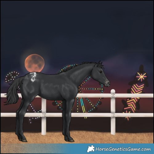 Horse Color:Black Varnish