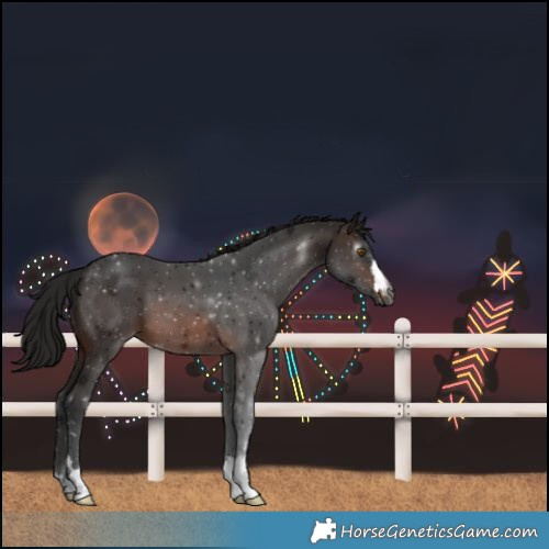 Horse Color:Gray Brown