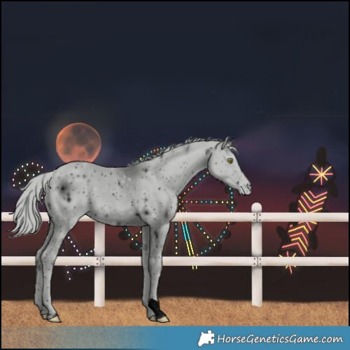 Horse Color:ERROR: UNKNOWN ANOMALY