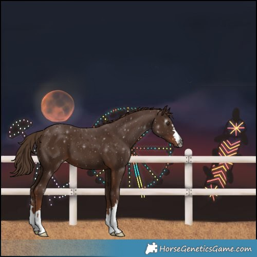 Horse Color:Gray Chestnut