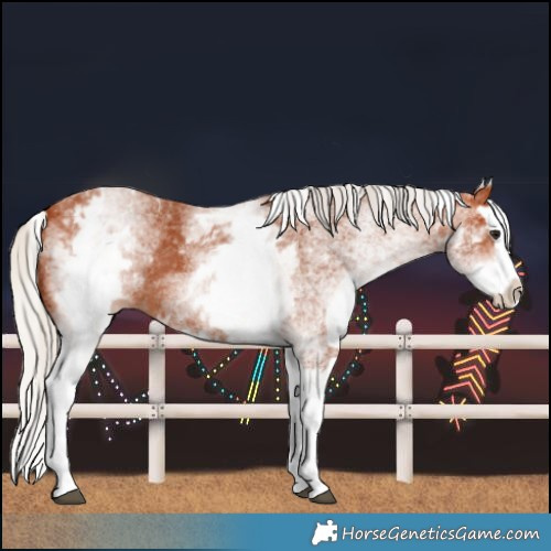 Horse Color:White Spotted Silver Bay Splash 