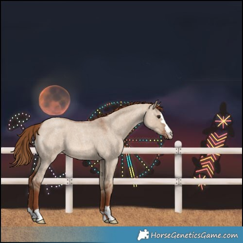 Horse Color:Red Dun Roan