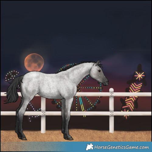 Horse Color:Grullo Roan