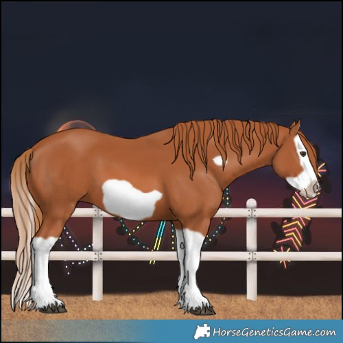 Horse Color:Chestnut Splash Frame 
