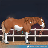 Horse Color:Chestnut Splash Frame