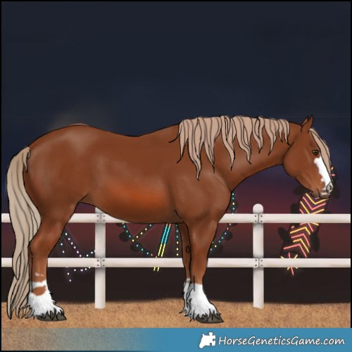 Horse Color:Chestnut 
