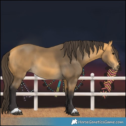 Horse Color:Buckskin 