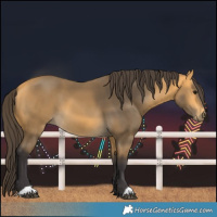 Horse Color:Buckskin