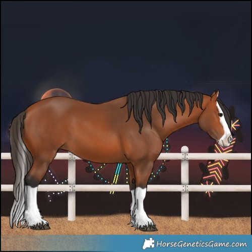 Horse Color:Bay Splash