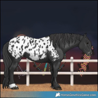 Horse Color:Black Blanket