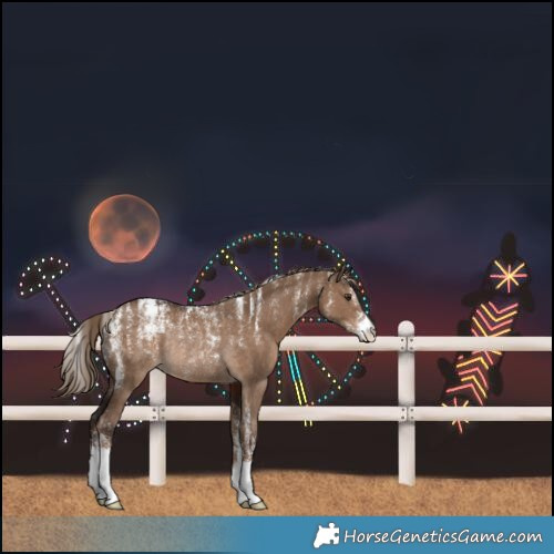 Horse Color:Powder White Liver Red Dun Rabicano