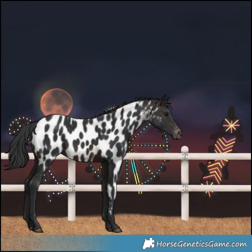 Horse Color:Brown Mushroom Near Leopard